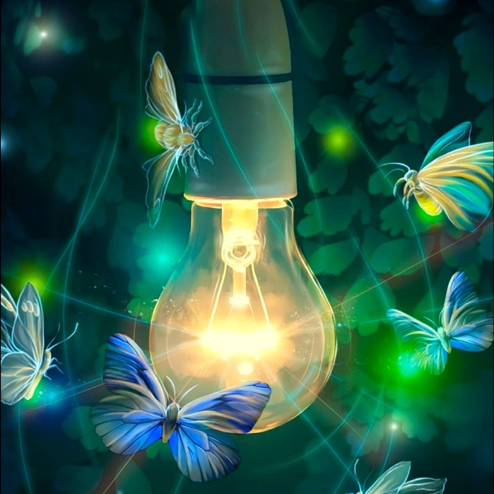 Meet your Posher, LaHoma